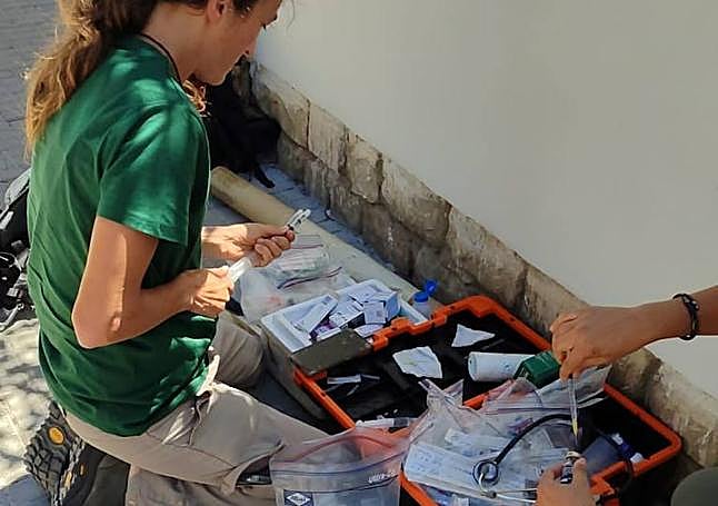 La veterinaria durante la preparación de los tranquilizantes.