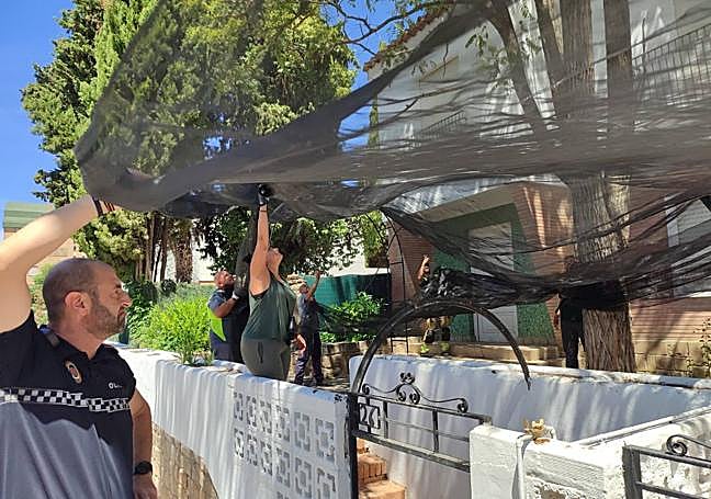 Red para rescatar al lince y que no sufriera ningún daño.