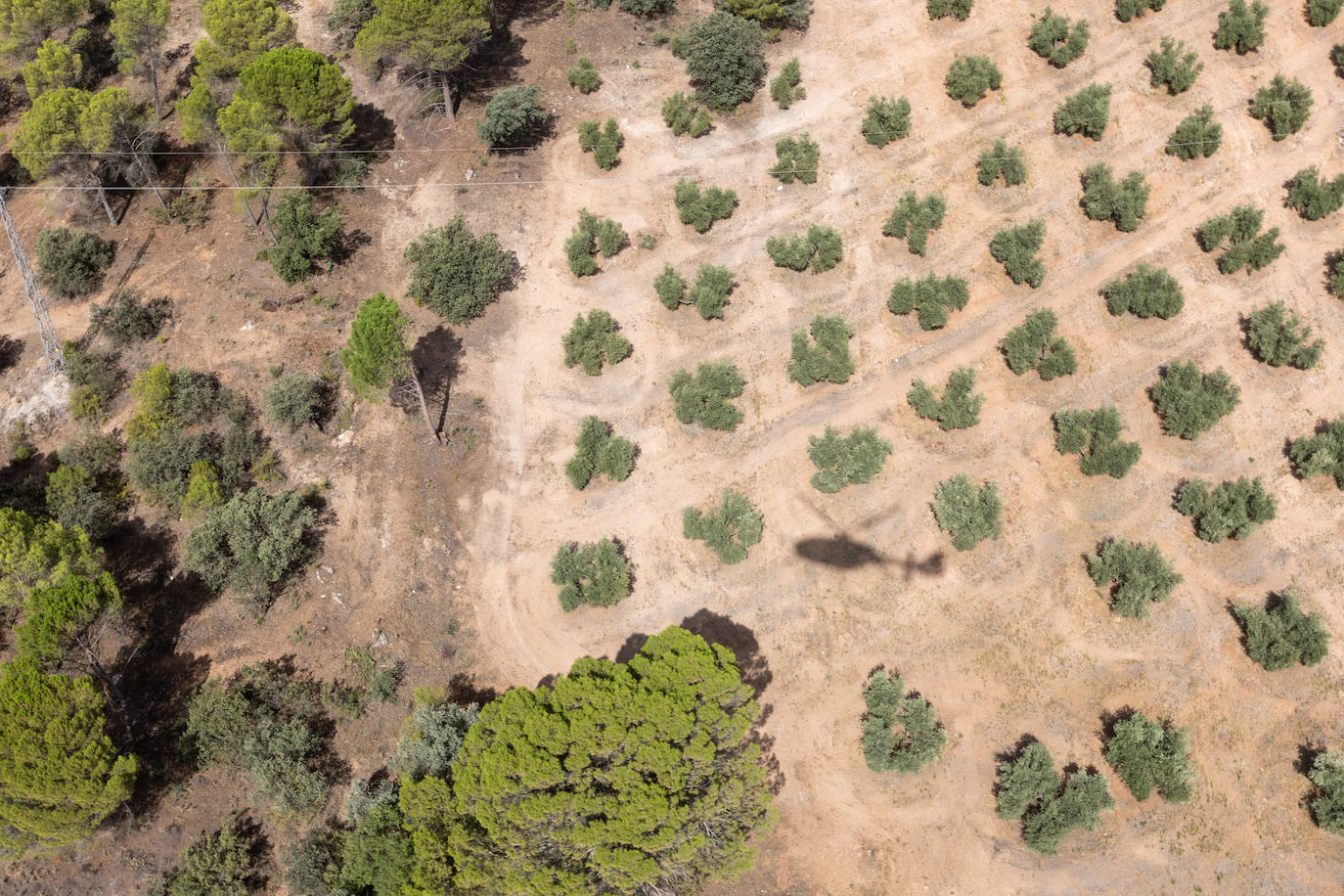 Granada, vista desde el helicóptero de la Guardia Civil