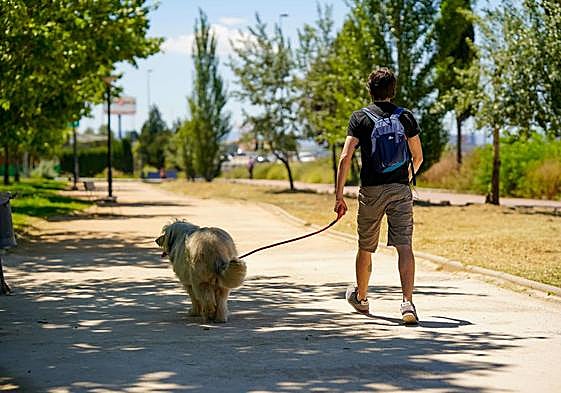 La nueva Ley de Bienestar Animal vigila estas mascotas.