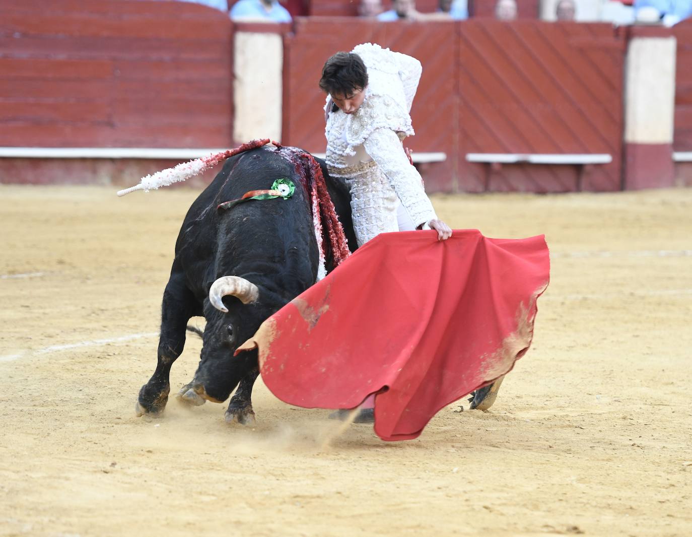 Un sueño hecho realidad