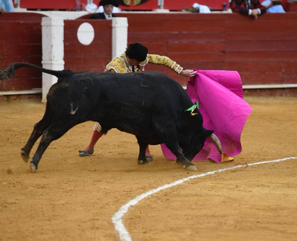 Un sueño hecho realidad