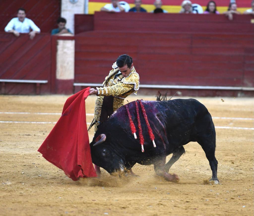 Un sueño hecho realidad