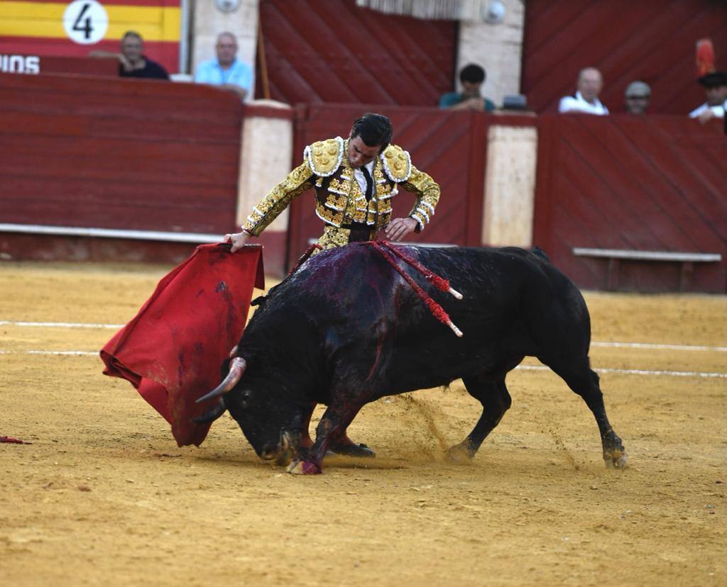 Un sueño hecho realidad