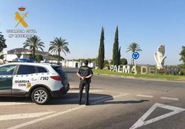 Detenidos dos vigilantes de Jaén por dar una paliza a un joven en Palma del Río