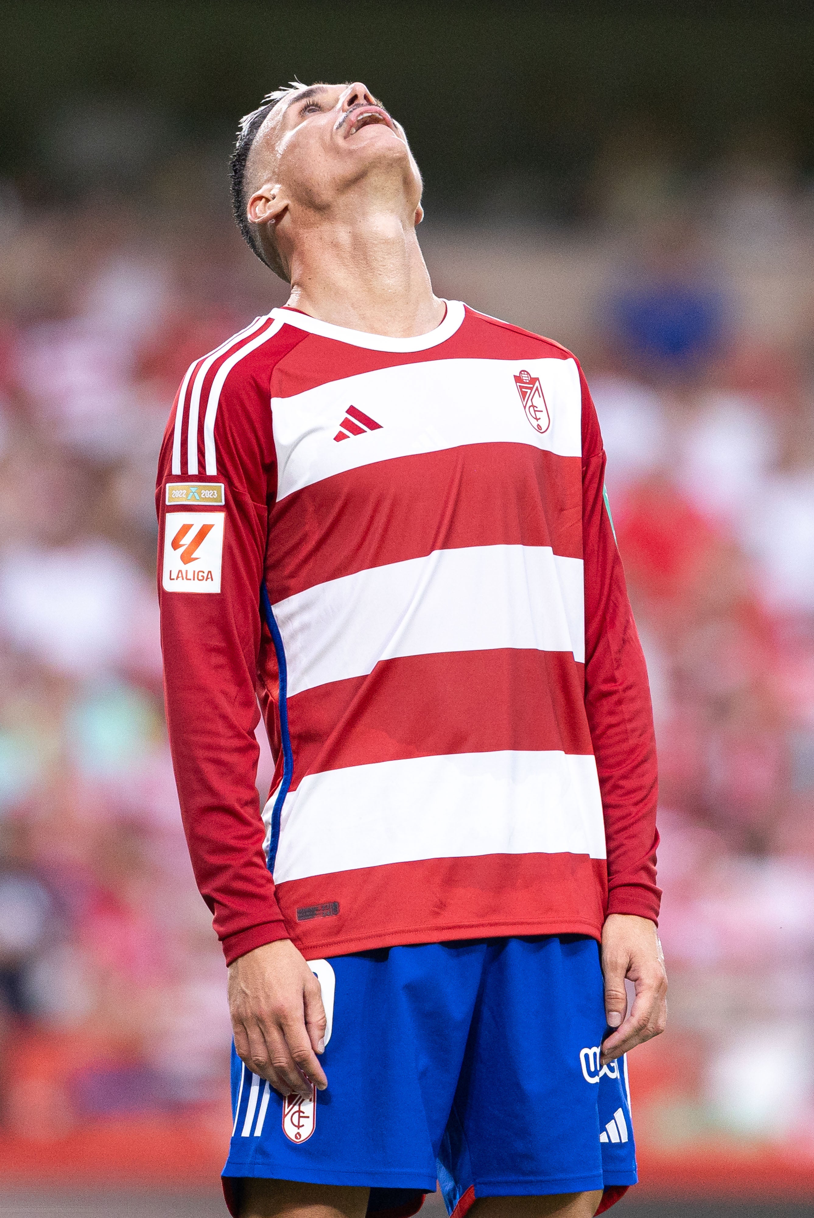 Encuéntrate en la grada durante el Granada-Mallorca