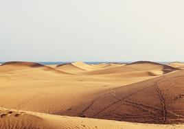 Más allá de sus dunas: qué hacer en Maspalomas, el paraíso natural de Gran Canaria