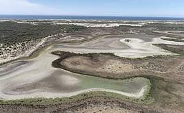 Aspecto de una de las lagunas del Espacio Natural de Doñana completamente seca.