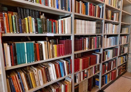 Parte de los libros de la biblioteca de Fermín Palma.