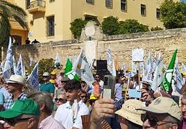 Asaja, COAG, UPA y Cooperativas Agro-alimentarias han sido las organizaciones convocantes.