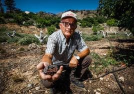 Antonio González con un aguacate calcinado.