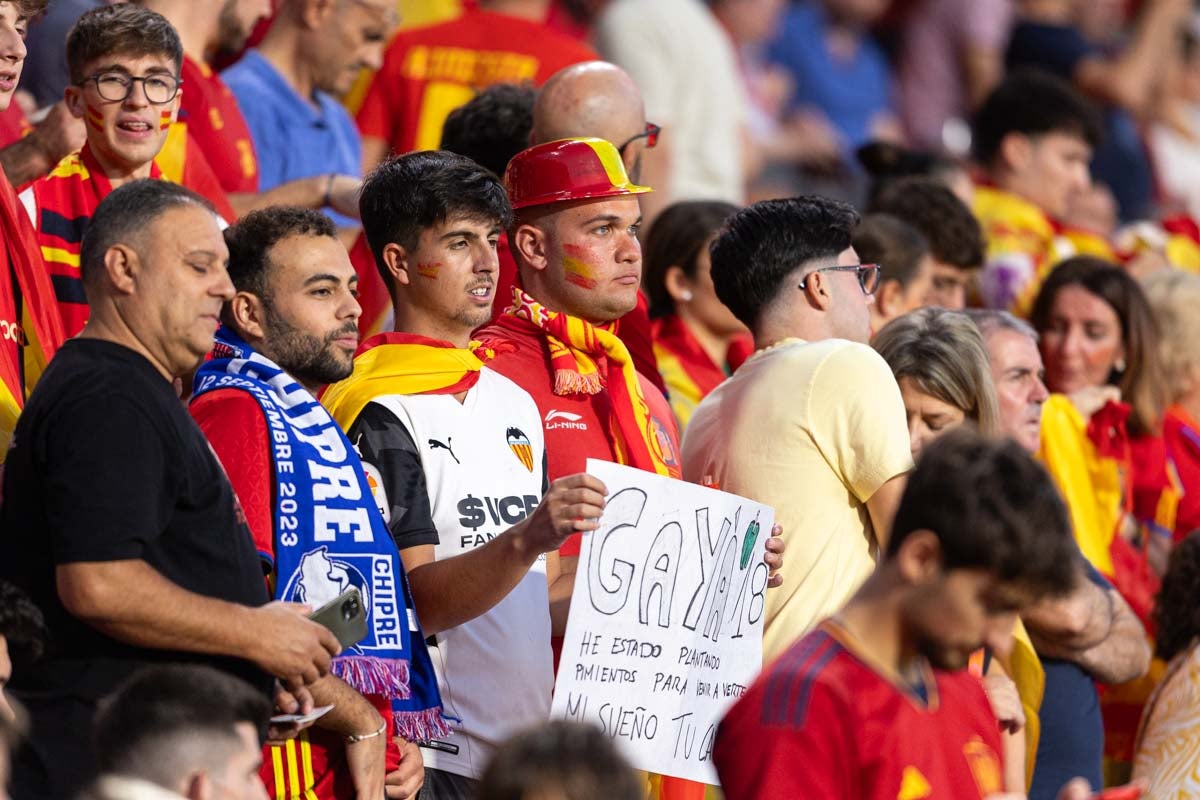 Búscate en la grada de Los Cármenes en el partido de &#039;la Roja&#039;