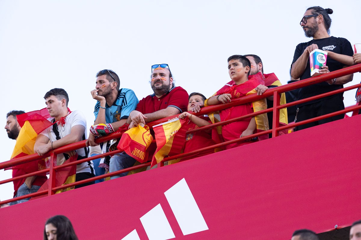 Búscate en la grada de Los Cármenes en el partido de &#039;la Roja&#039;