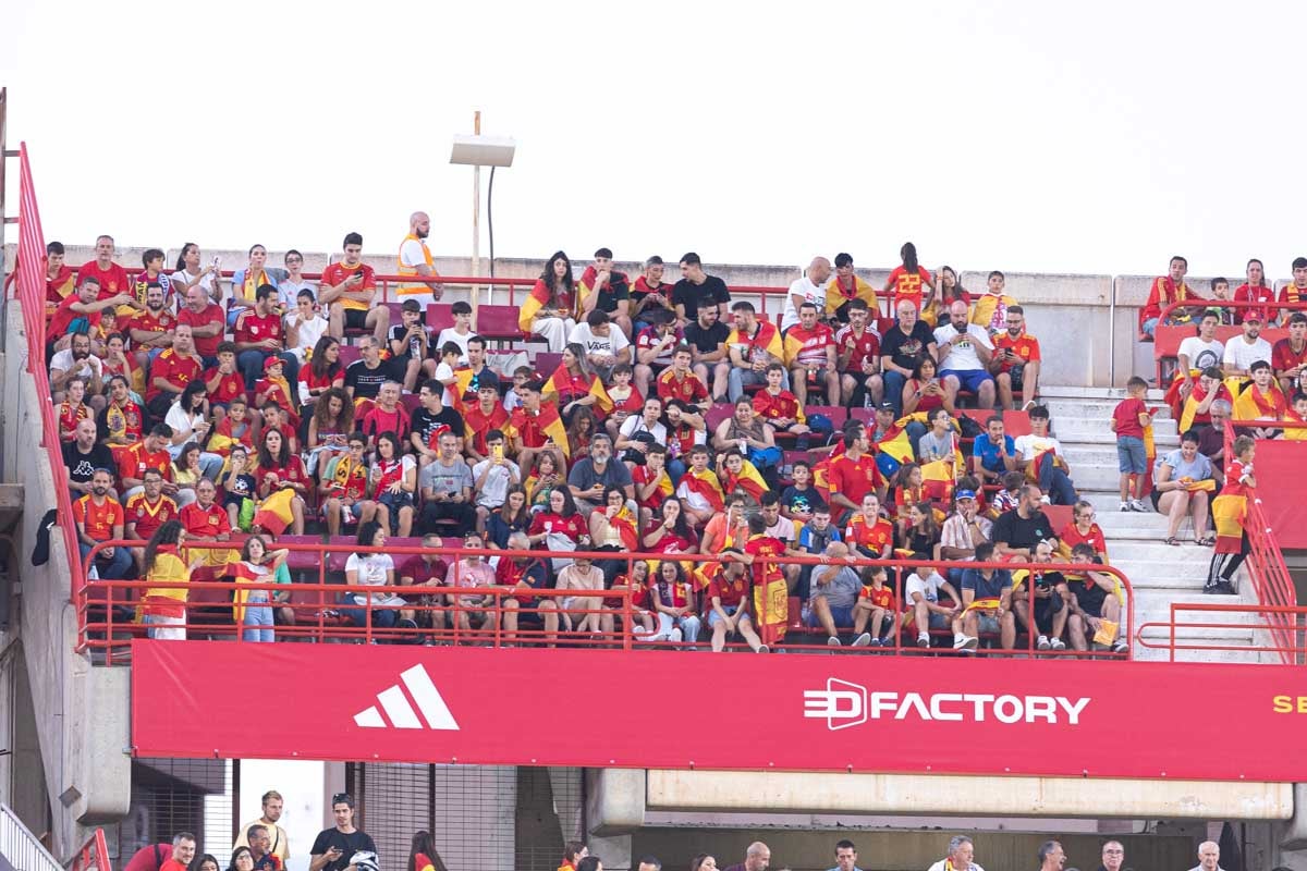 Búscate en la grada de Los Cármenes en el partido de &#039;la Roja&#039;