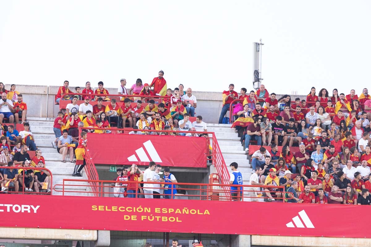 Búscate en la grada de Los Cármenes en el partido de &#039;la Roja&#039;