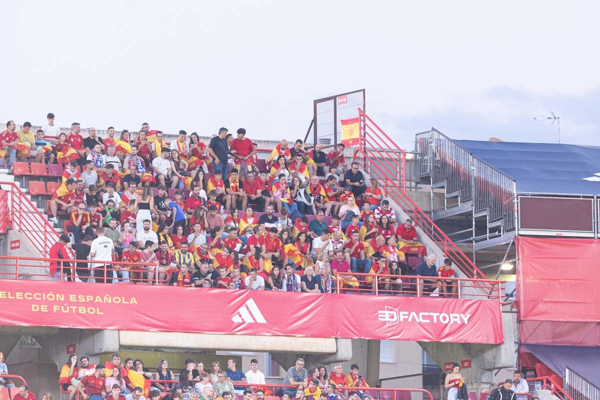 Búscate en la grada de Los Cármenes en el partido de &#039;la Roja&#039;