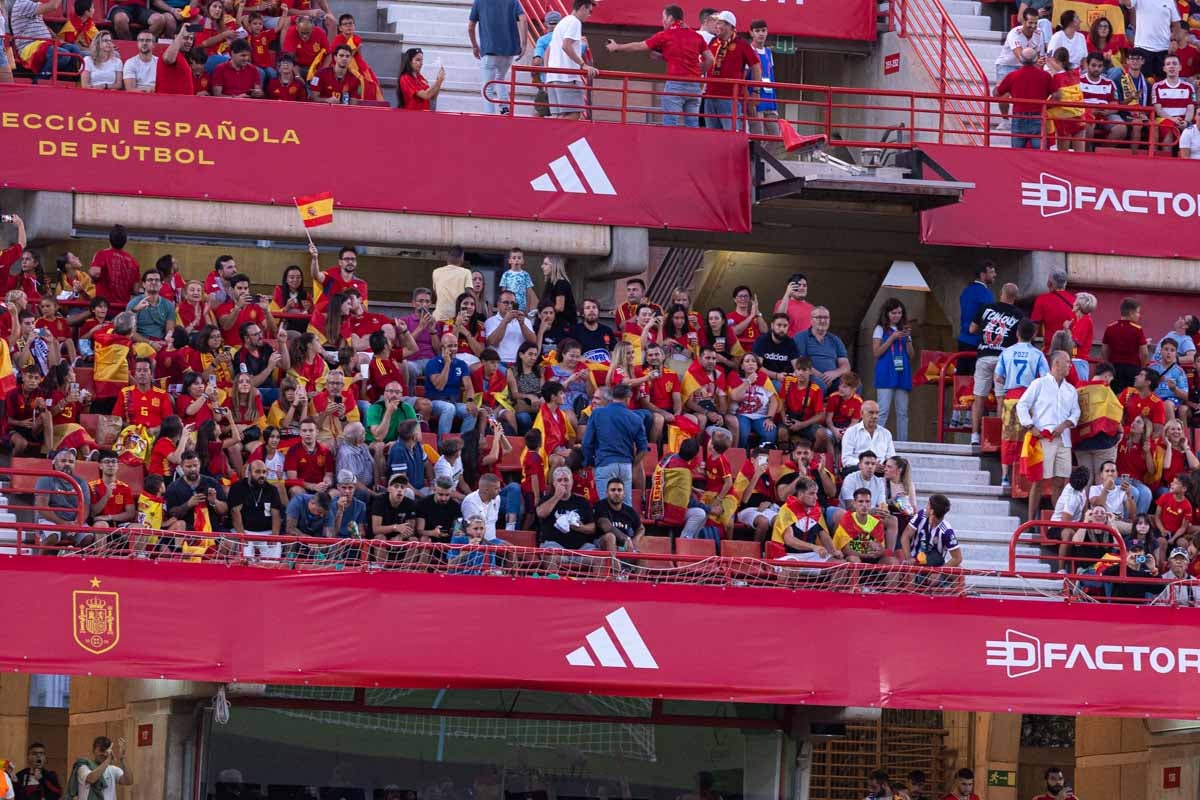 Búscate en la grada de Los Cármenes en el partido de &#039;la Roja&#039;