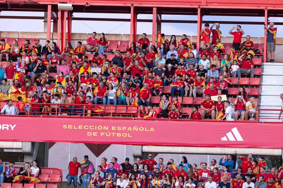 Búscate en la grada de Los Cármenes en el partido de &#039;la Roja&#039;