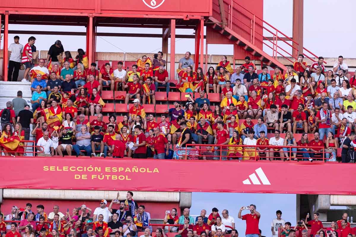 Búscate en la grada de Los Cármenes en el partido de &#039;la Roja&#039;