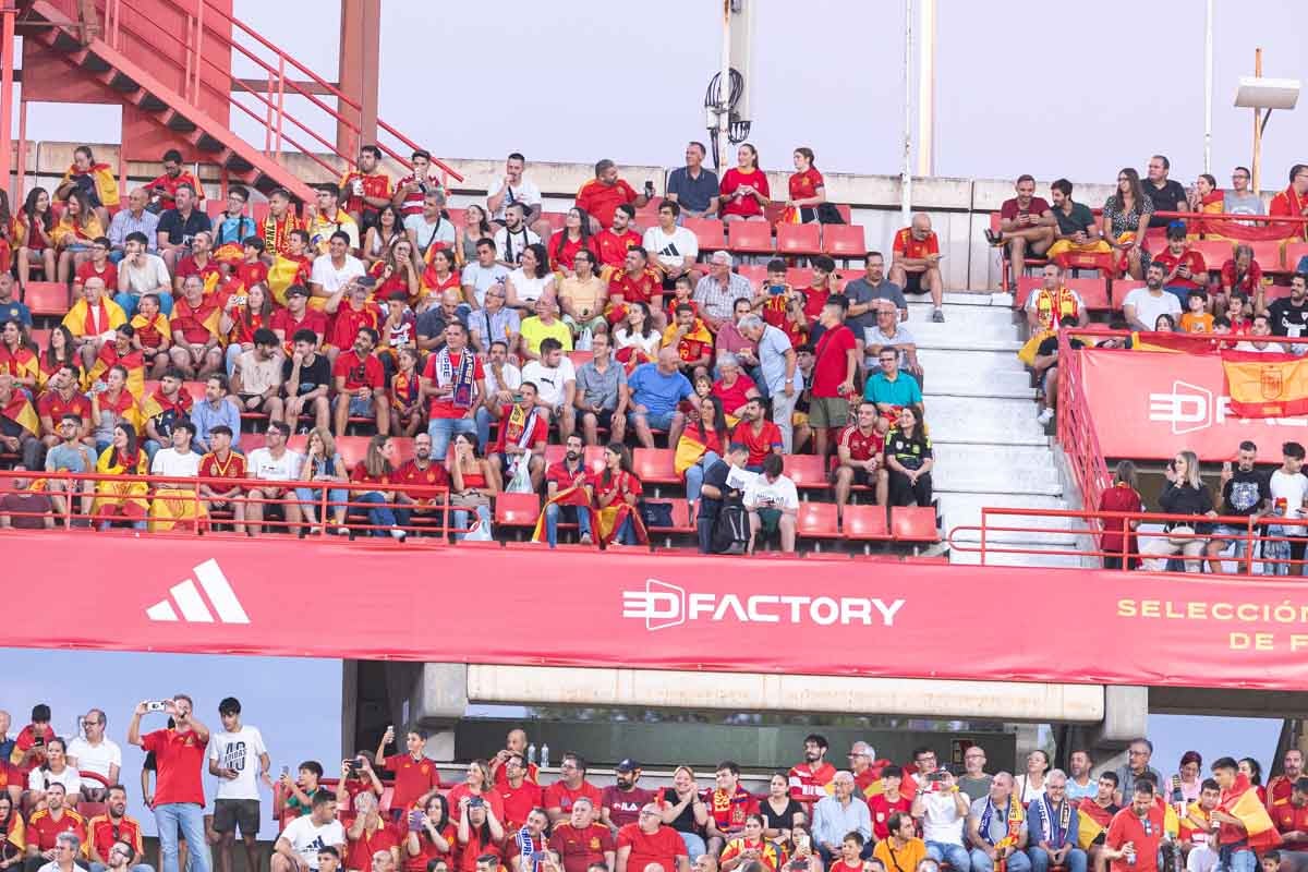 Búscate en la grada de Los Cármenes en el partido de &#039;la Roja&#039;