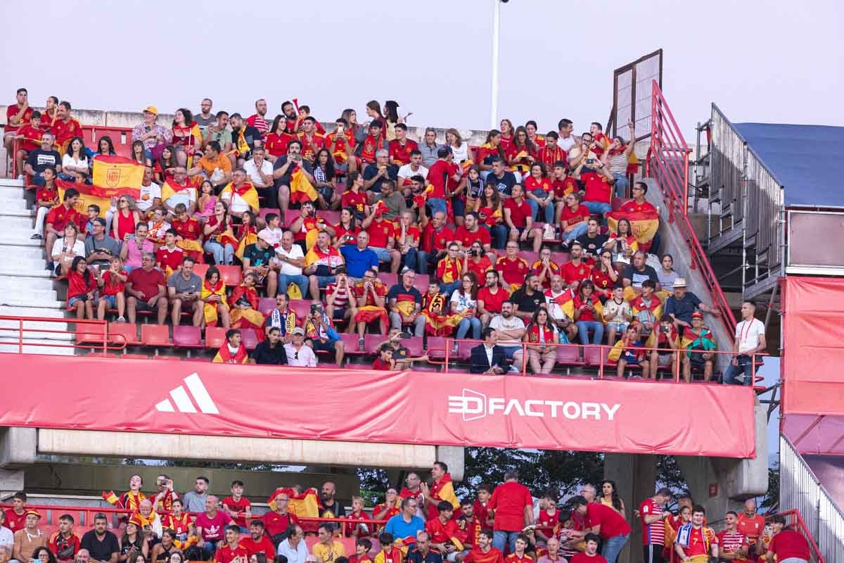 Búscate en la grada de Los Cármenes en el partido de &#039;la Roja&#039;