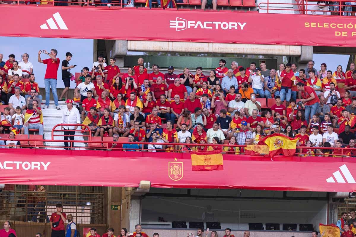 Búscate en la grada de Los Cármenes en el partido de &#039;la Roja&#039;