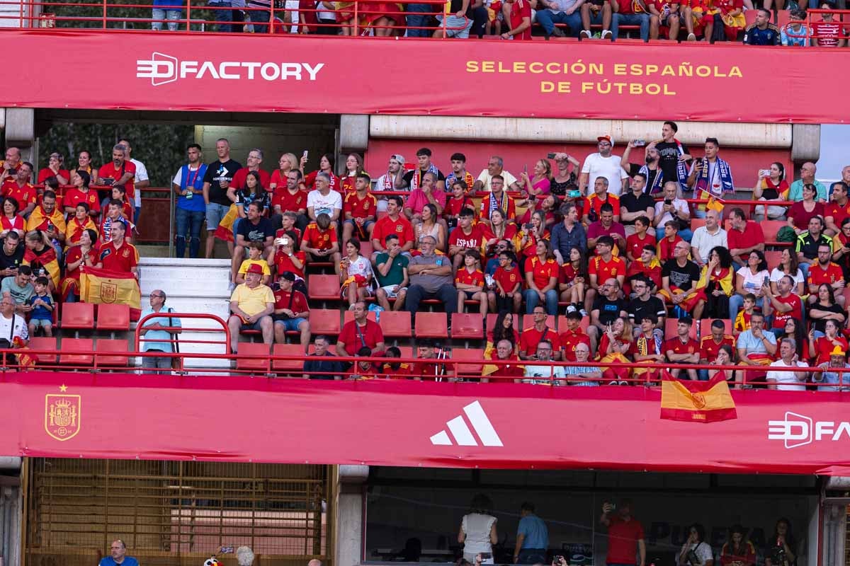 Búscate en la grada de Los Cármenes en el partido de &#039;la Roja&#039;