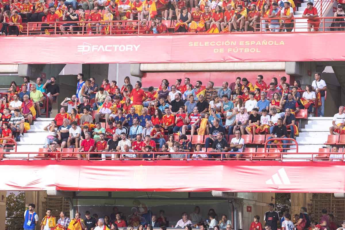 Búscate en la grada de Los Cármenes en el partido de &#039;la Roja&#039;