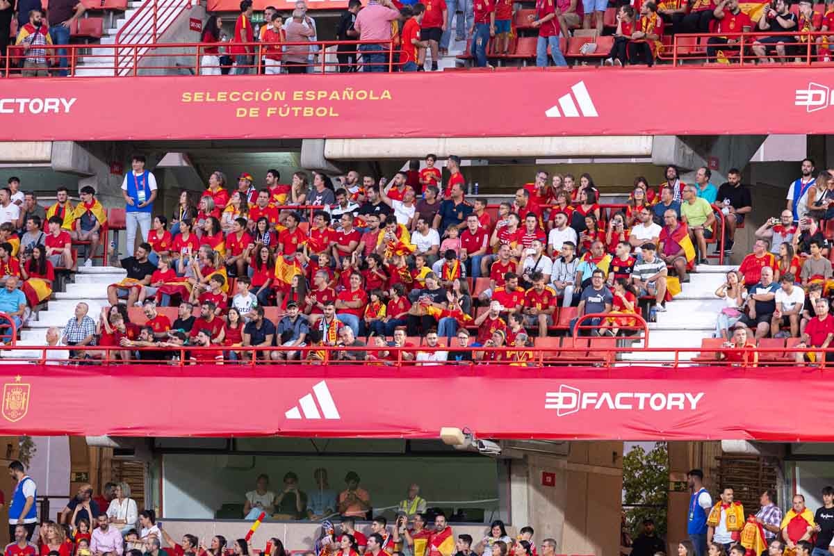 Búscate en la grada de Los Cármenes en el partido de &#039;la Roja&#039;