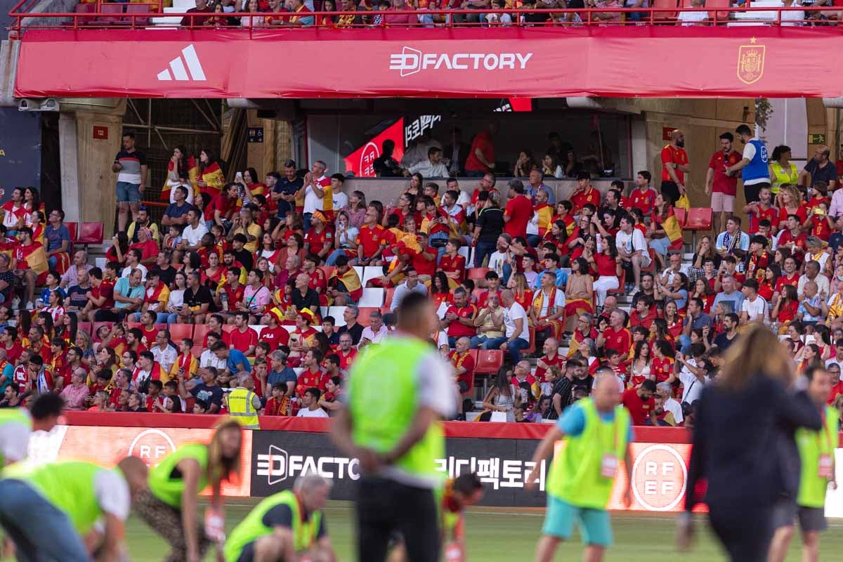 Búscate en la grada de Los Cármenes en el partido de &#039;la Roja&#039;