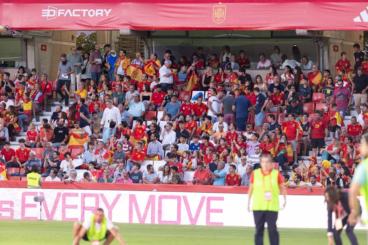 Búscate en la grada de Los Cármenes en el partido de &#039;la Roja&#039;