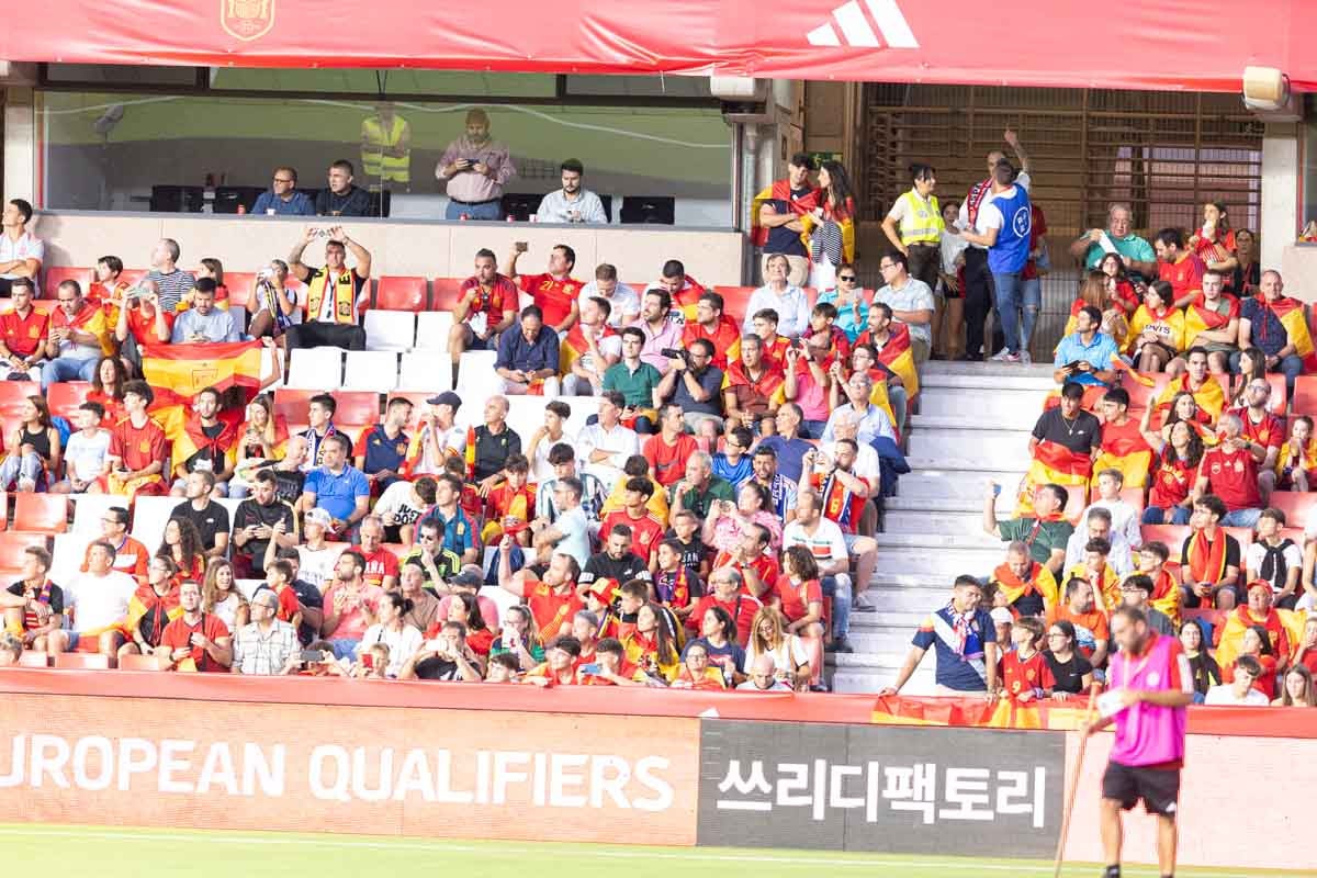 Búscate en la grada de Los Cármenes en el partido de &#039;la Roja&#039;