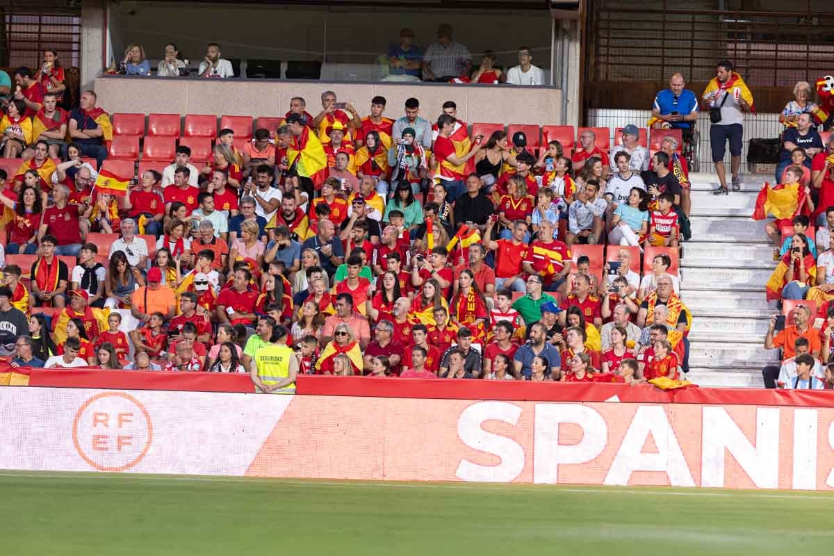 Búscate en la grada de Los Cármenes en el partido de &#039;la Roja&#039;