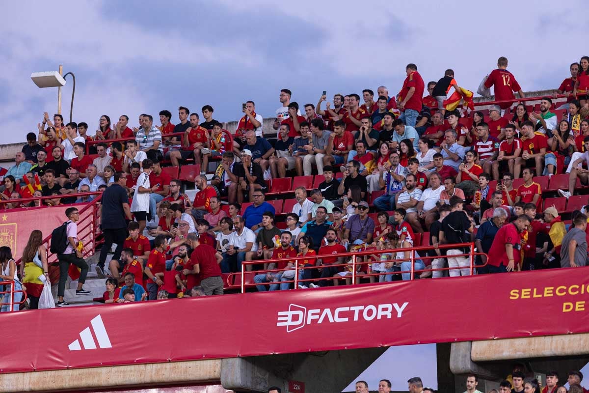 Búscate en la grada de Los Cármenes en el partido de &#039;la Roja&#039;