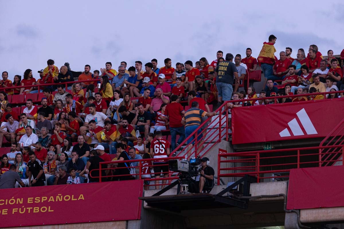 Búscate en la grada de Los Cármenes en el partido de &#039;la Roja&#039;