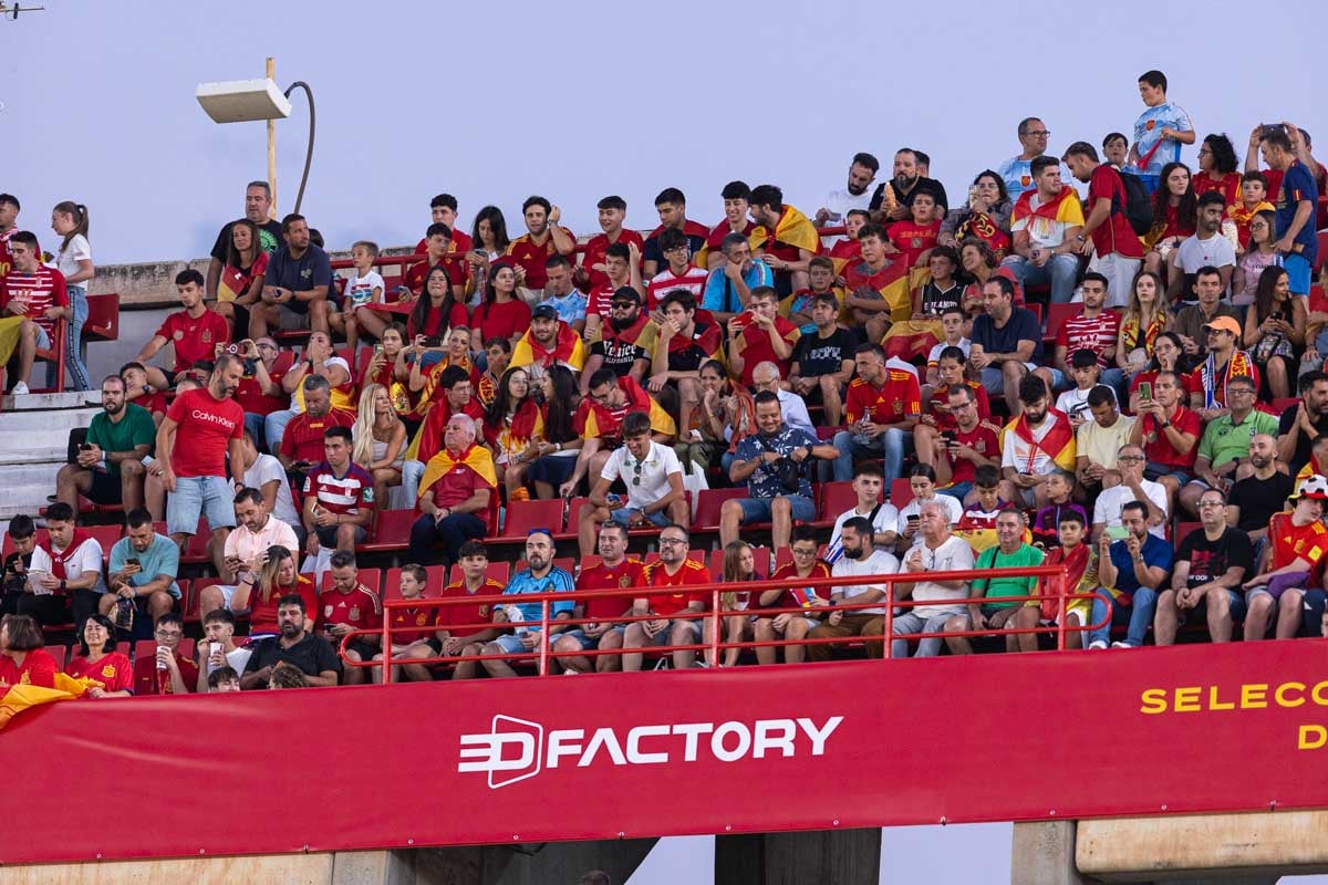 Búscate en la grada de Los Cármenes en el partido de &#039;la Roja&#039;