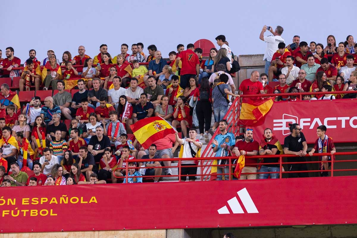 Búscate en la grada de Los Cármenes en el partido de &#039;la Roja&#039;