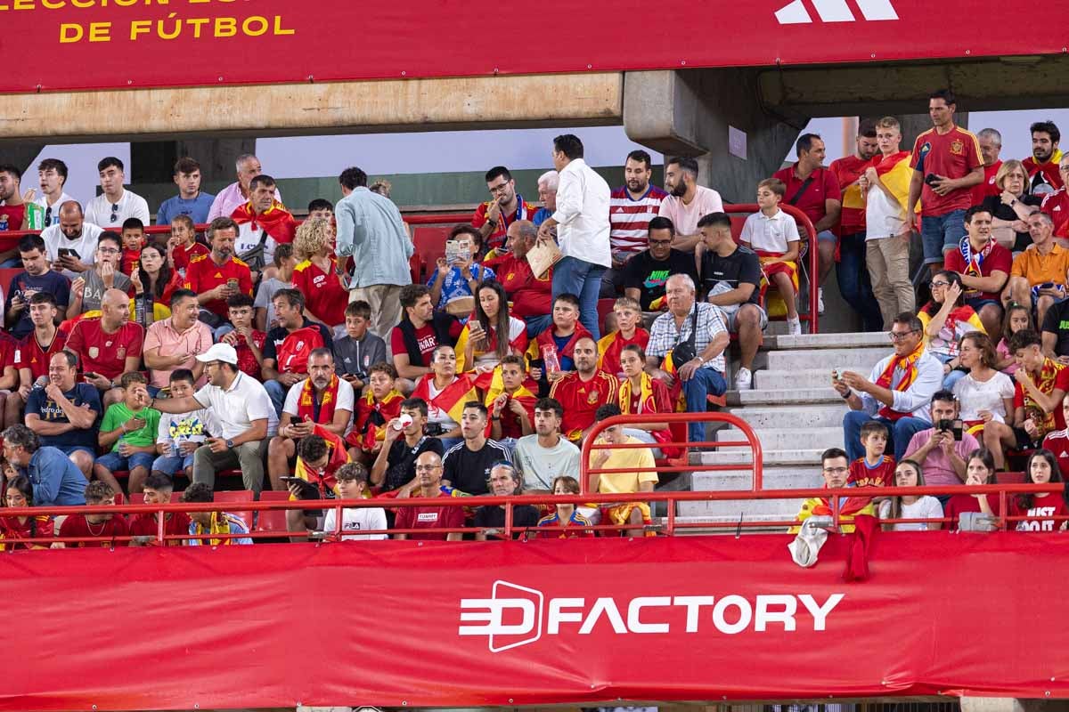 Búscate en la grada de Los Cármenes en el partido de &#039;la Roja&#039;