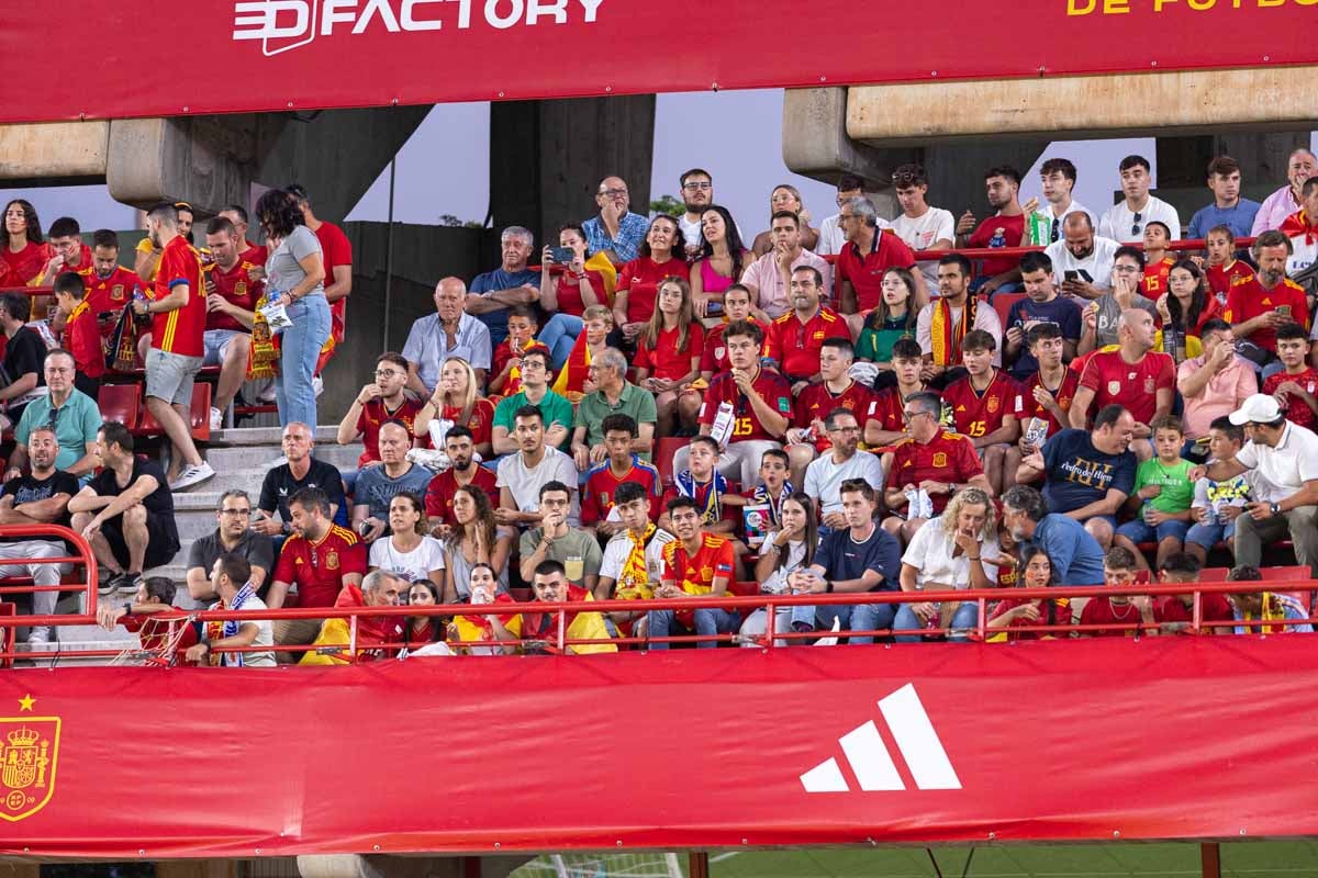 Búscate en la grada de Los Cármenes en el partido de &#039;la Roja&#039;