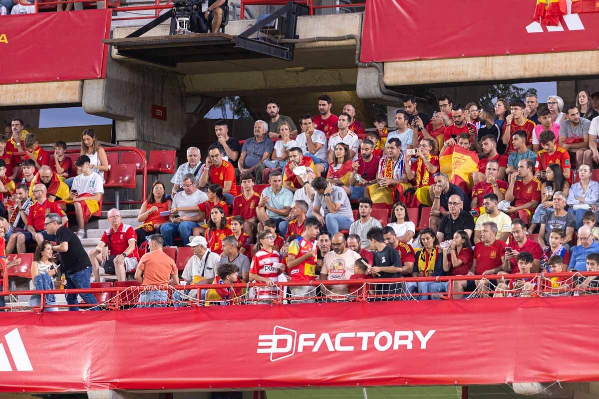 Búscate en la grada de Los Cármenes en el partido de &#039;la Roja&#039;