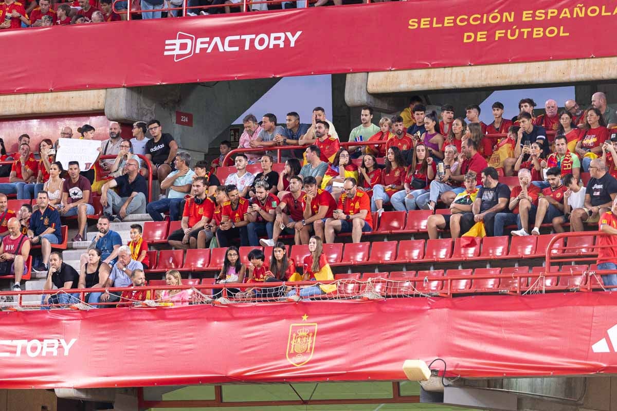 Búscate en la grada de Los Cármenes en el partido de &#039;la Roja&#039;