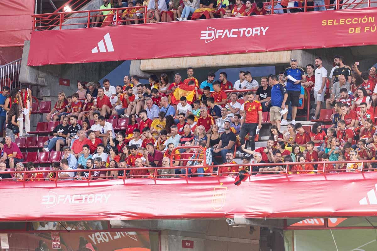 Búscate en la grada de Los Cármenes en el partido de &#039;la Roja&#039;