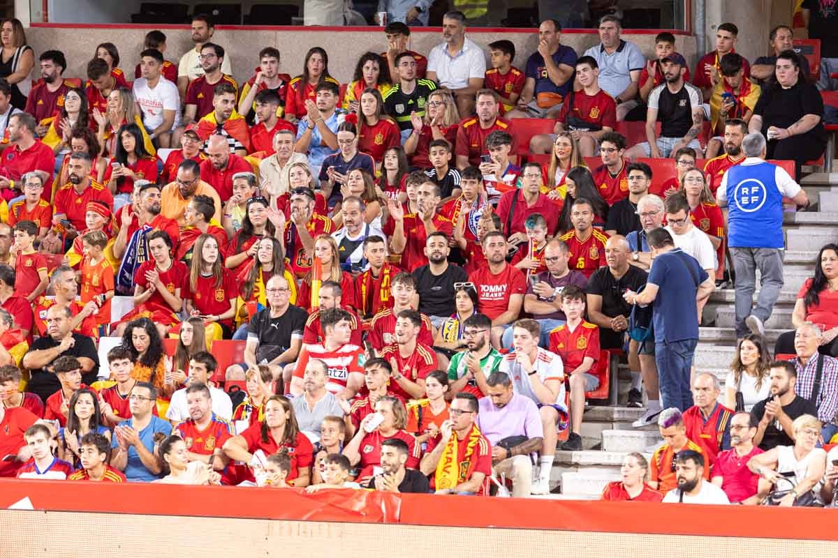 Búscate en la grada de Los Cármenes en el partido de &#039;la Roja&#039;