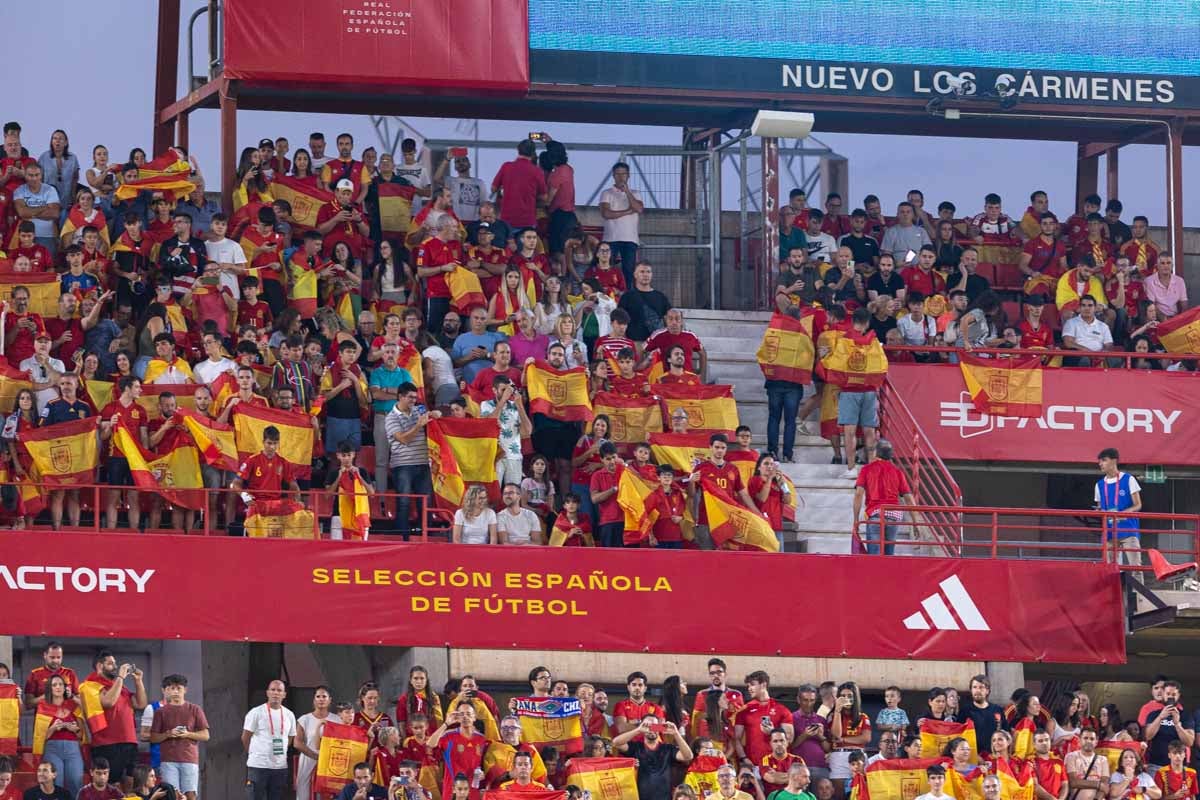 Búscate en la grada de Los Cármenes en el partido de &#039;la Roja&#039;