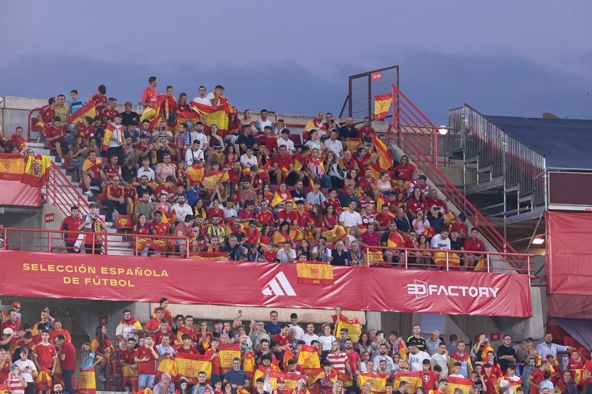 Búscate en la grada de Los Cármenes en el partido de &#039;la Roja&#039;