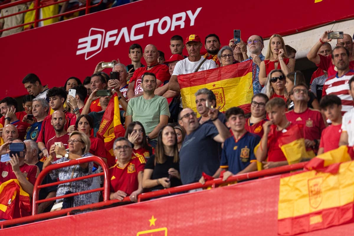 Búscate en la grada de Los Cármenes en el partido de &#039;la Roja&#039;