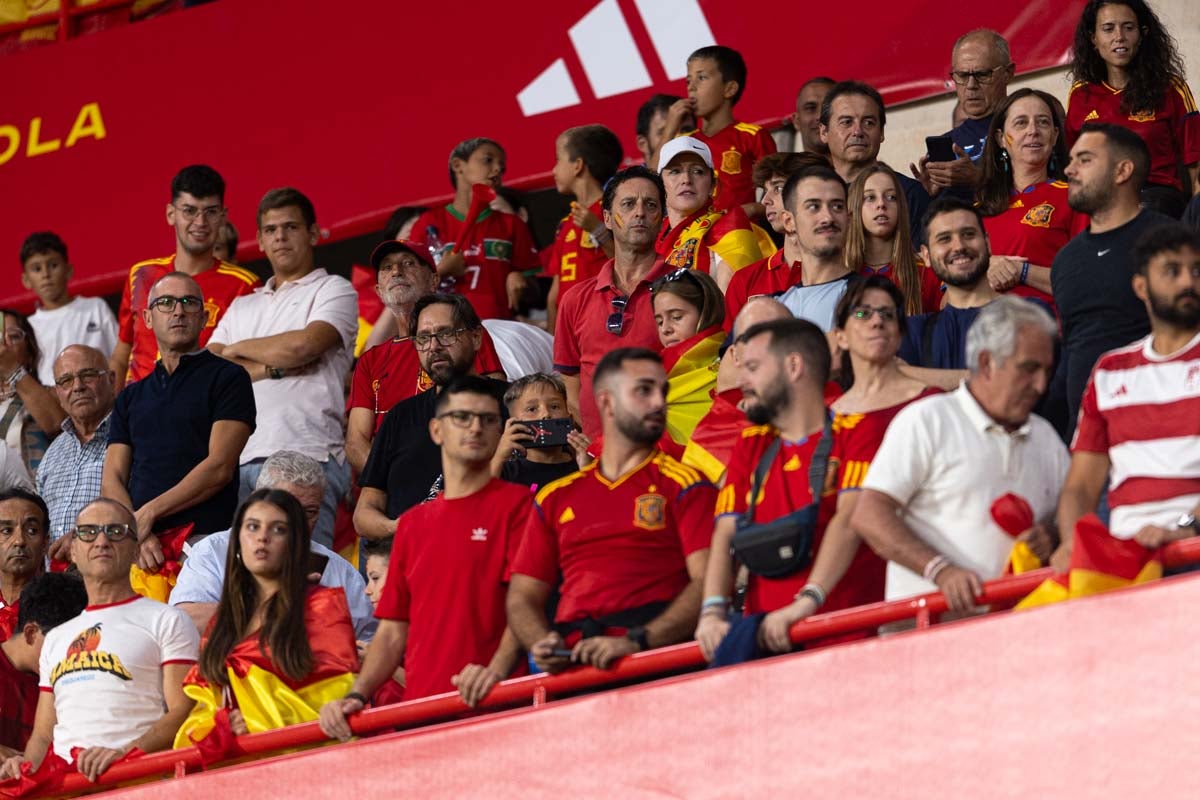 Búscate en la grada de Los Cármenes en el partido de &#039;la Roja&#039;