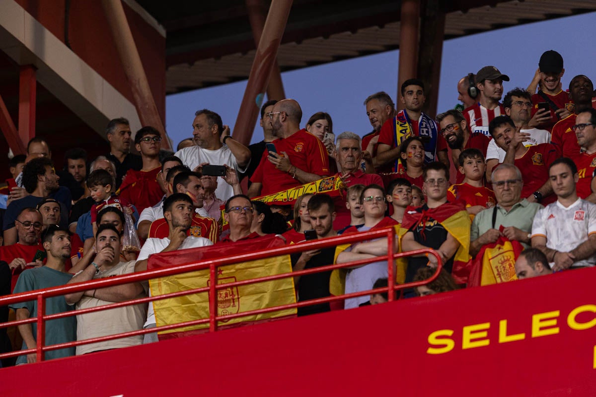 Búscate en la grada de Los Cármenes en el partido de &#039;la Roja&#039;