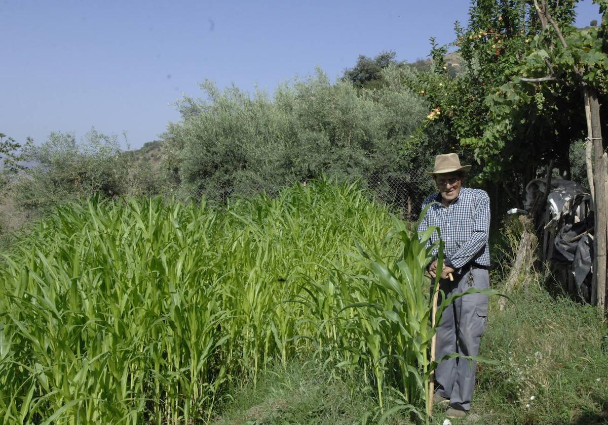 El agricultor en activo más longevo de Granada se encuentra en La Alpujarra