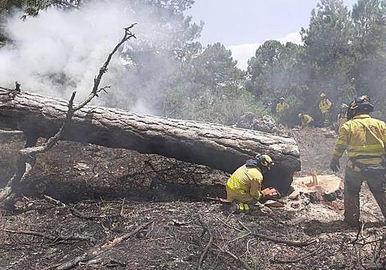 Intervención del Infoca en el incendio de Cazorla de este verano.